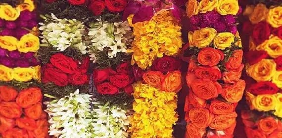 Exquisite Fresh Garlands